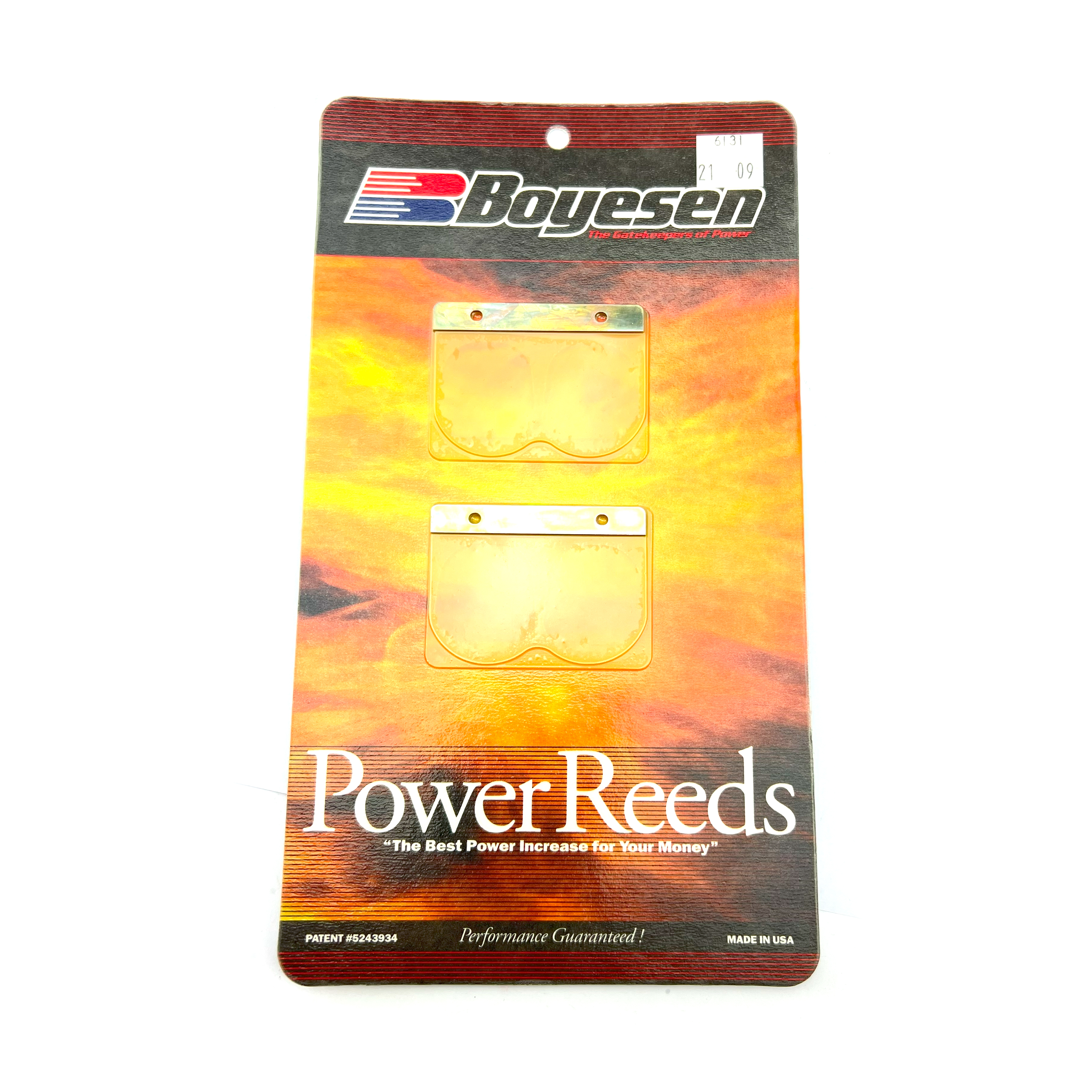 BOYESEN REEDS 6131 YZ250 05-21 image 1