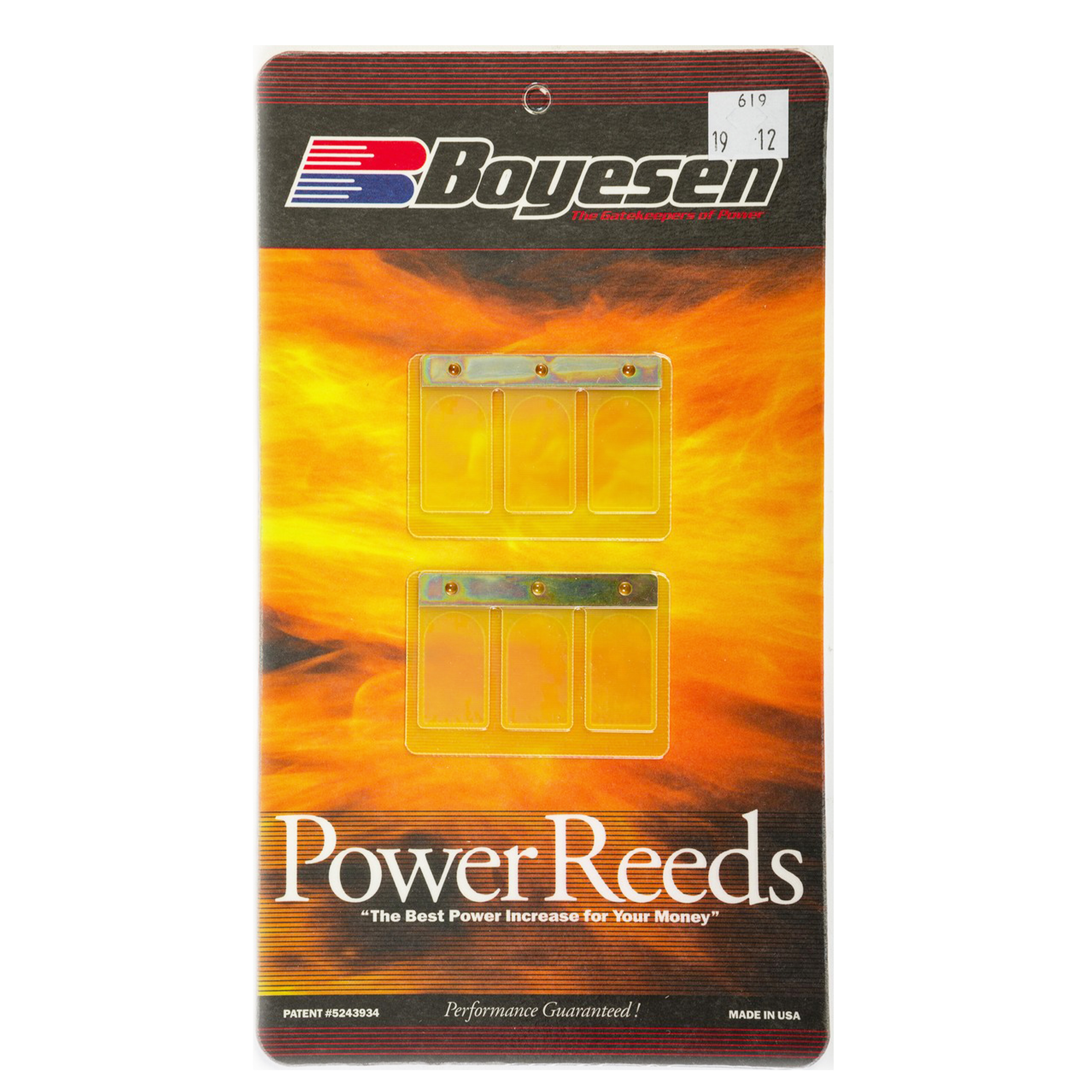 BOYESEN REEDS 619R Maico image 1
