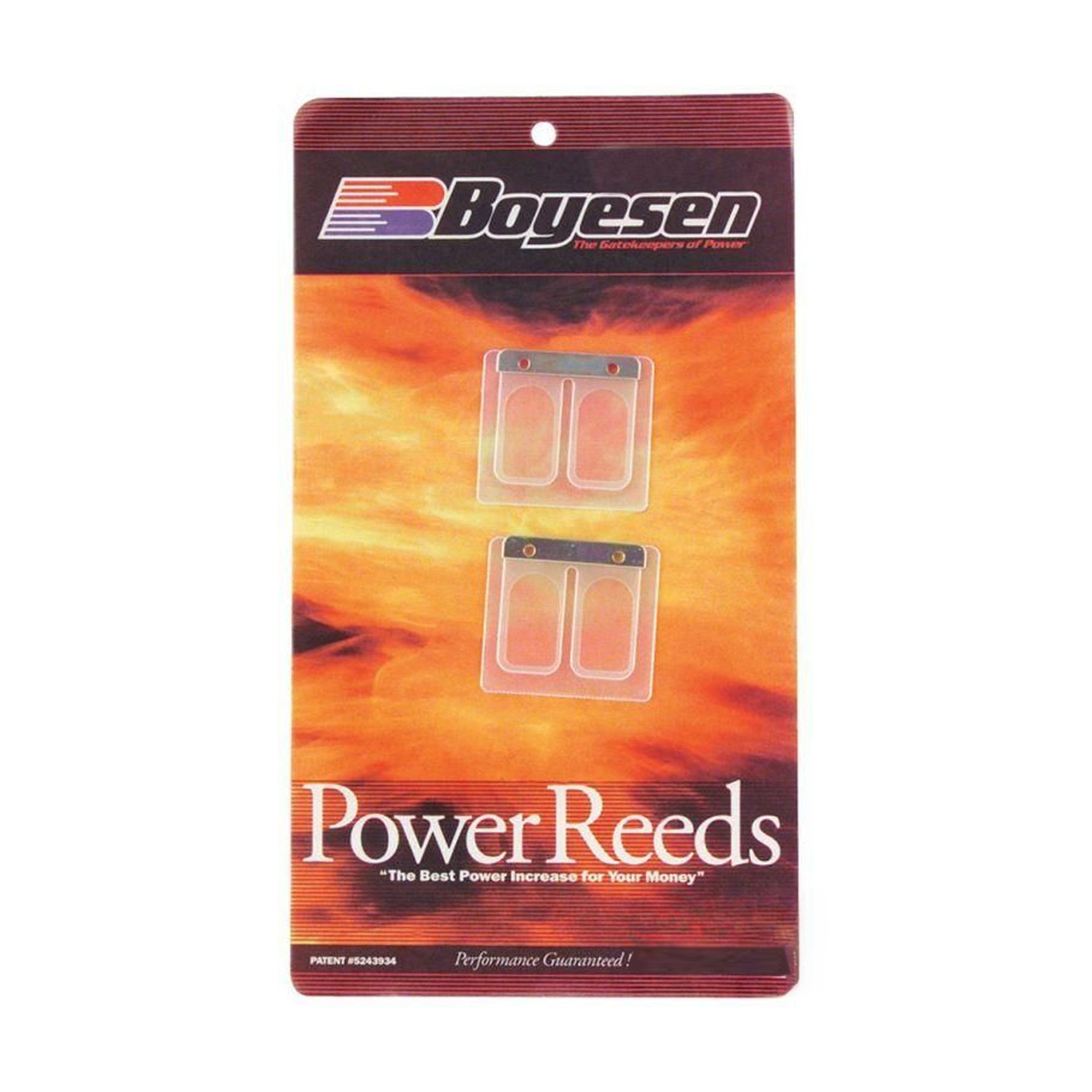 BOYESEN REEDS 666 DT125 98-93 BR001666 image 1