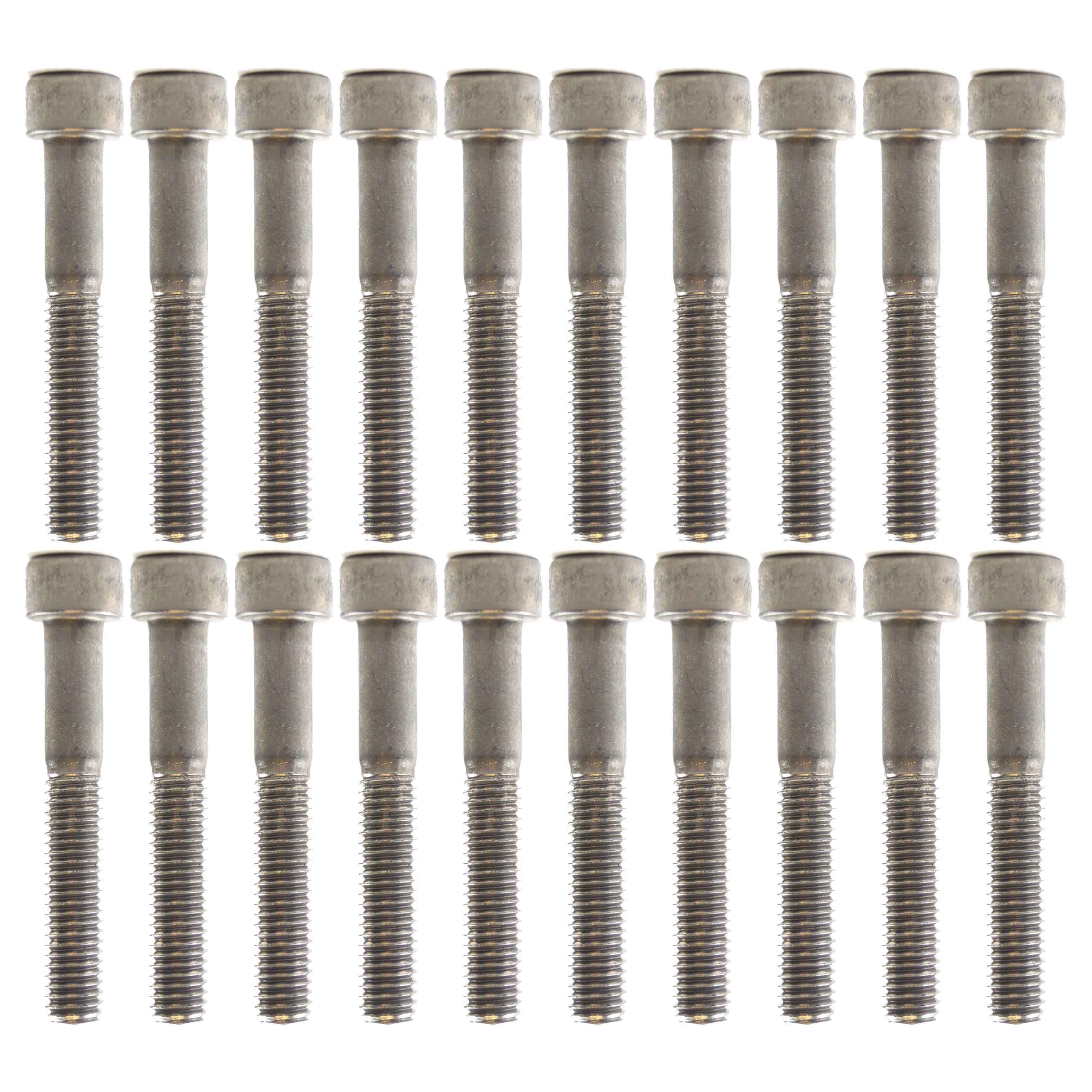 PK/20 M6x50 SS ALLEN CAP, STAINLESS STEEL SCREW
