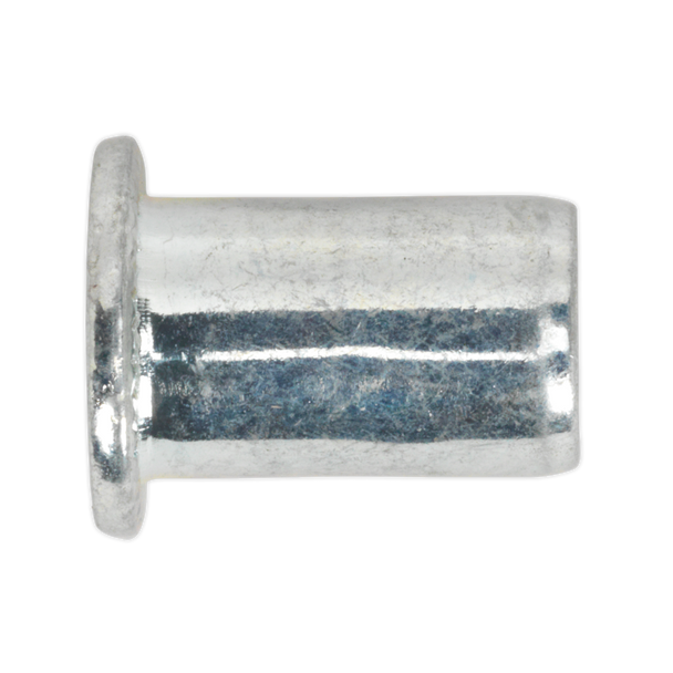 M10 REGULAR THREADED RIVET NUT INSERT PACK OF 50 TIRM10 image 1