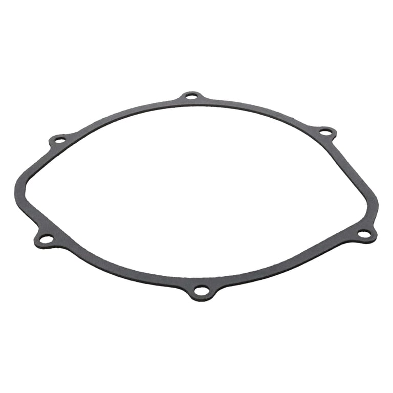 GASKET HONDA 450 REKLUSE 420-213 thumbnail 4