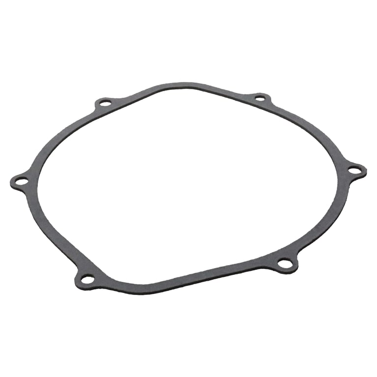 GASKET HONDA 450 REKLUSE 420-213 thumbnail 5