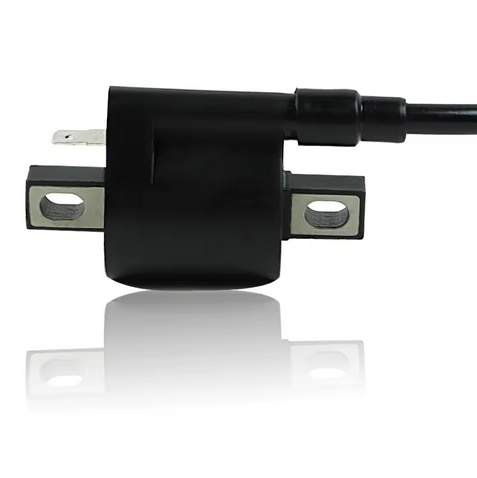 IGNITION COIL & CAP YAMAHA PW50 TT125 YFM 250 350 400 450 3KJ-82310-10-00 3FA-82310-00-00 thumbnail 3