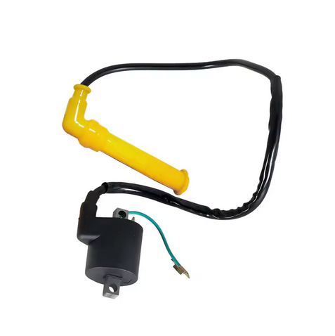 IGNITION COIL AND SPARK PLUG CAP 2003-2005 HONDA RINCON TRX650 30500-HN8-003 thumbnail 3