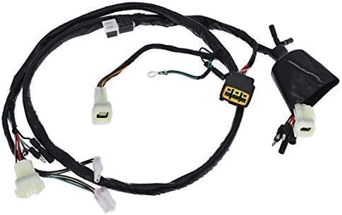 WIRING HARNESS 1999-2004 HONDA SPORTRAX TRX400EX 2X4 32100-HN1-000 image 1
