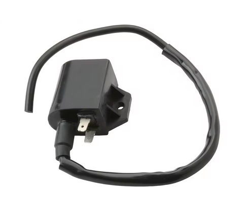IGNITION COIL ITALJET VELOCIFERO FORMULA VAMOS 50 AC LC image 1