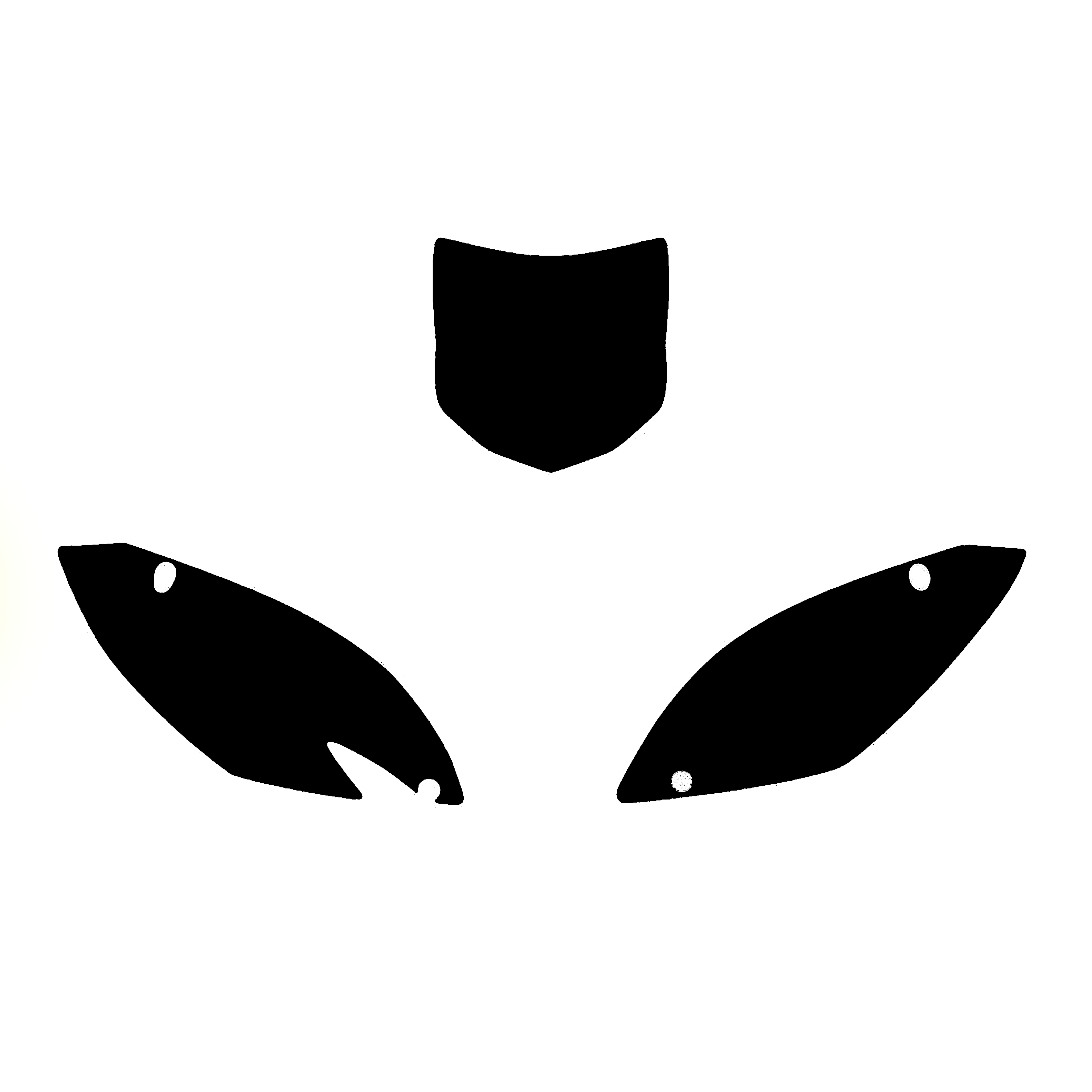 09-11 KXF450 BACKGROUNDS image 1