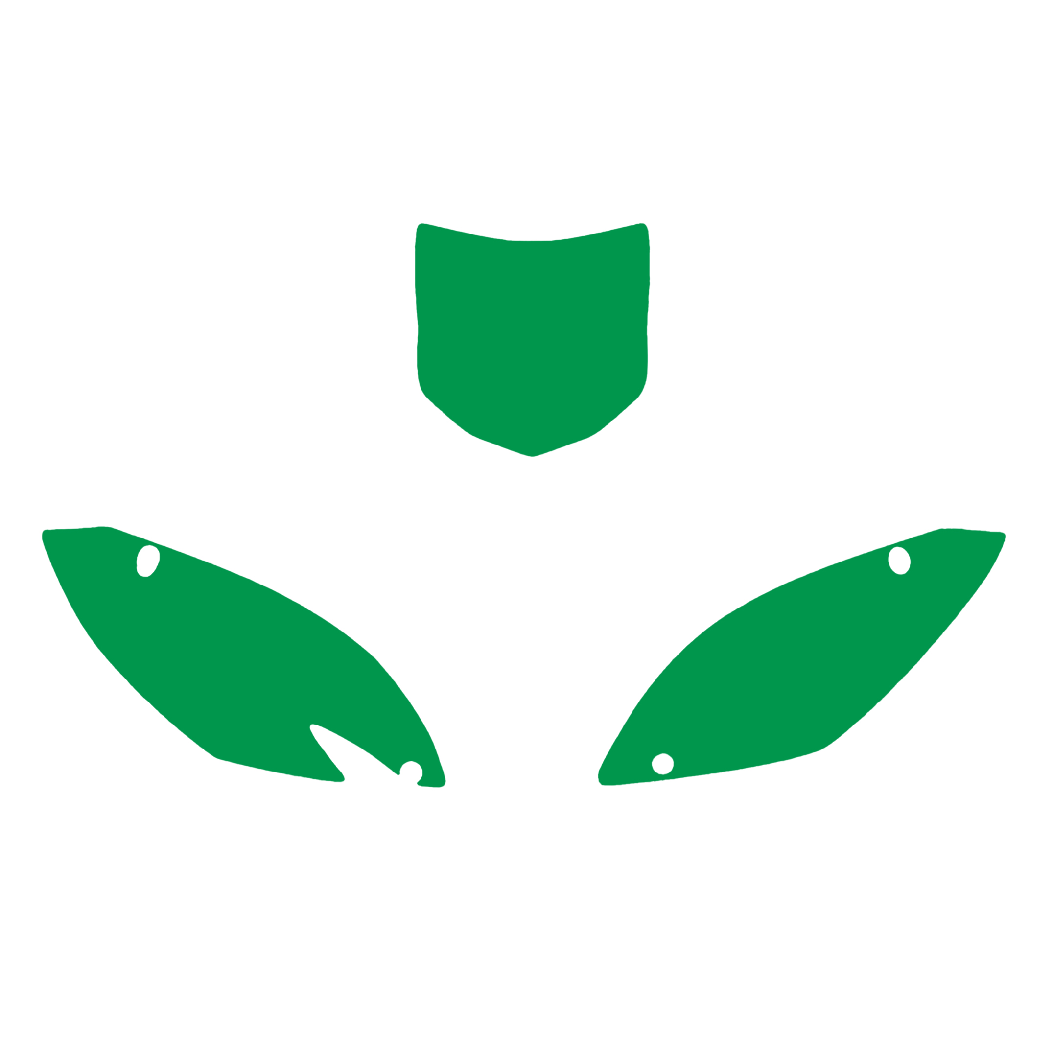 09-11 KXF450 BACKGROUNDS image 1