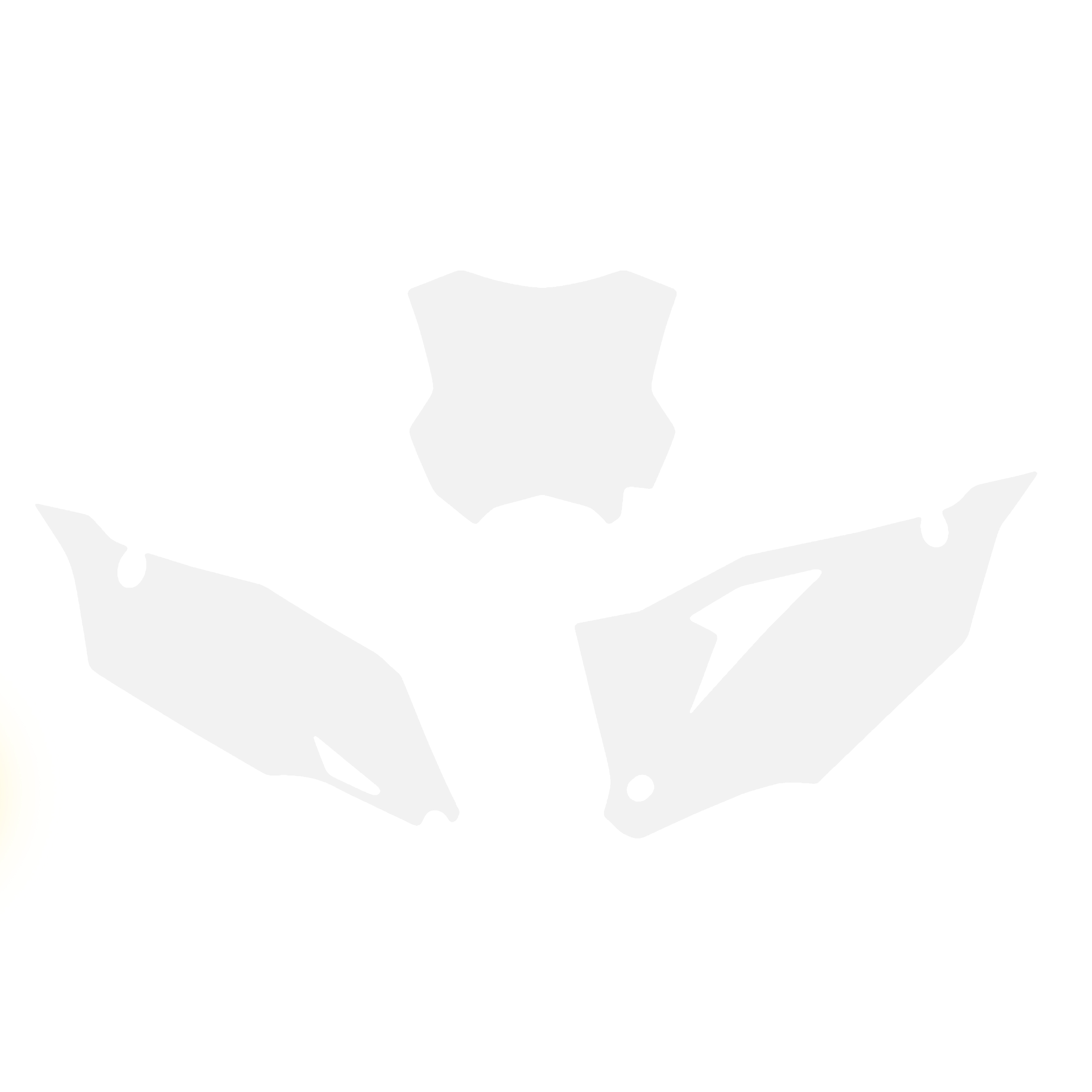 2019-23 KXF 450 BACKGROUNDS, WHITE BLACKBIRD 3420/10 image 1