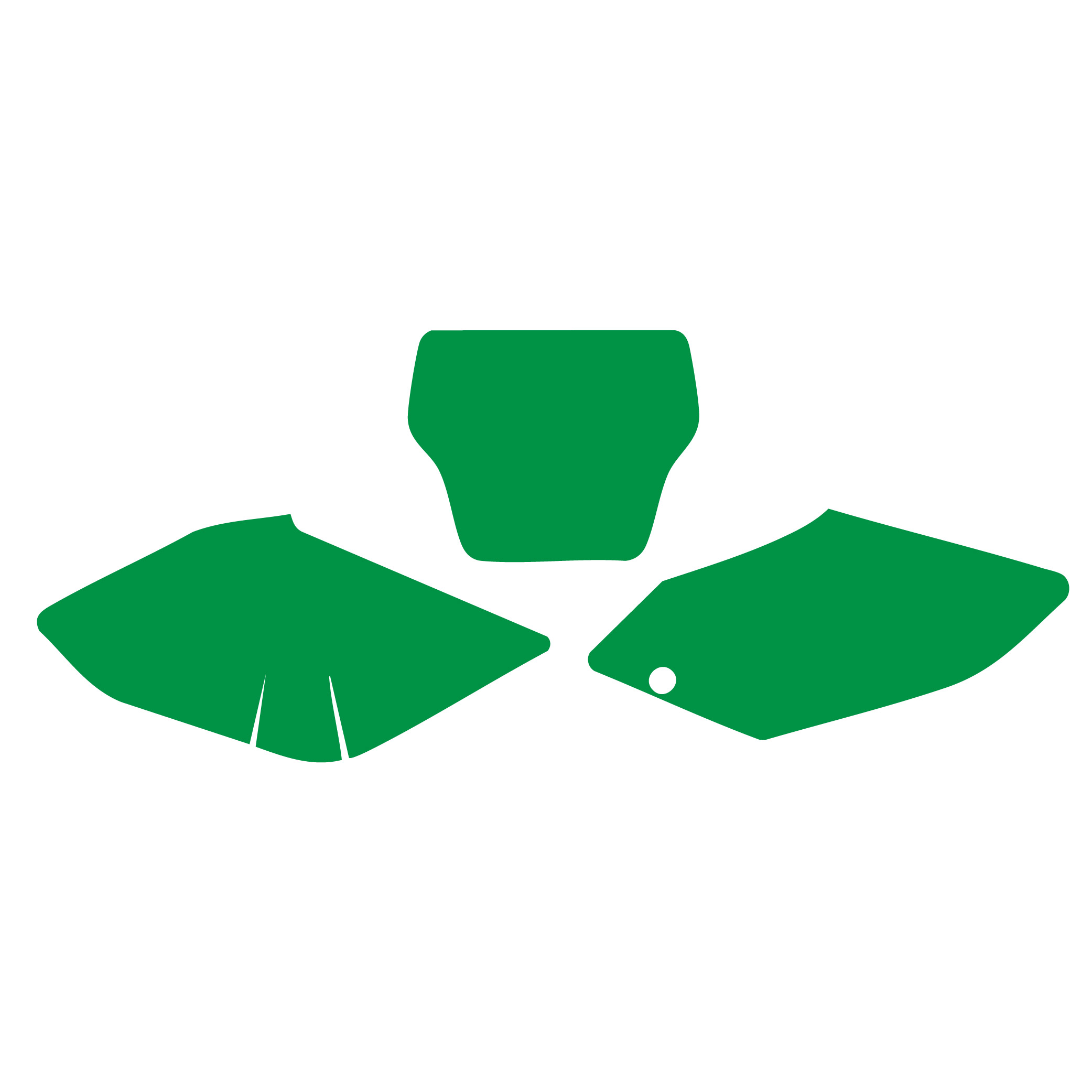 04-04 CRF450 GREEN BACKGROUNDS image 1