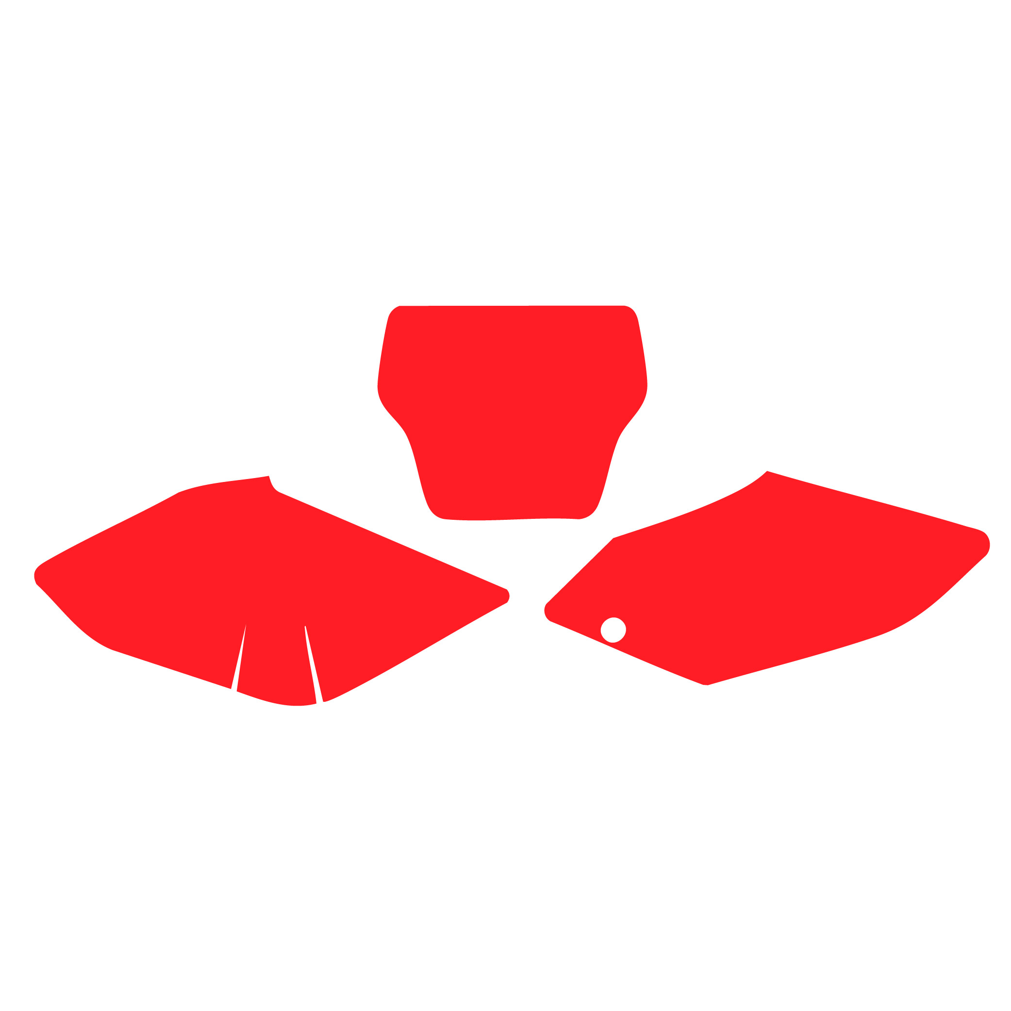 04-04 CRF450 RED BACKGROUNDS image 1