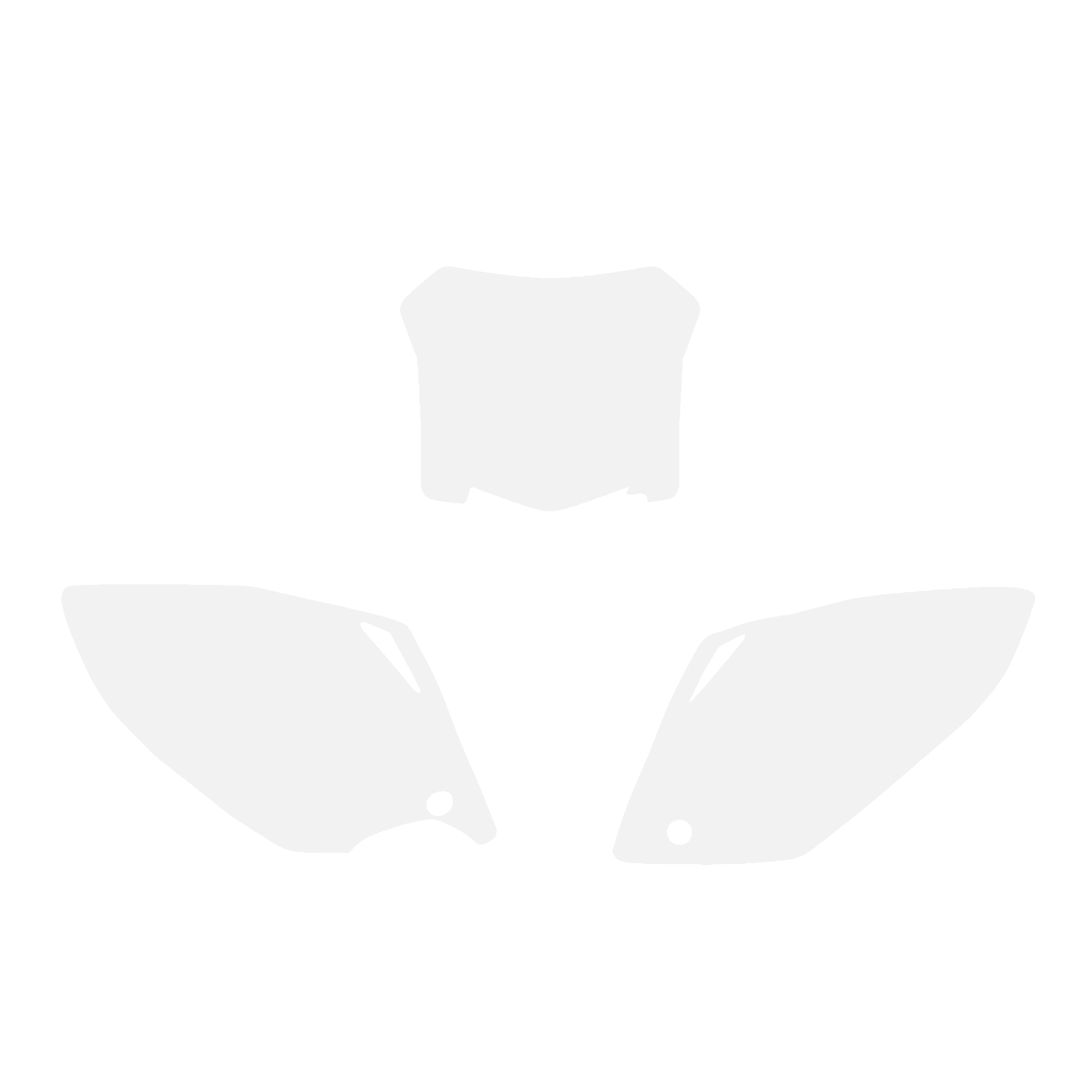 08 CRF450 BACKGROUND WHIT image 1