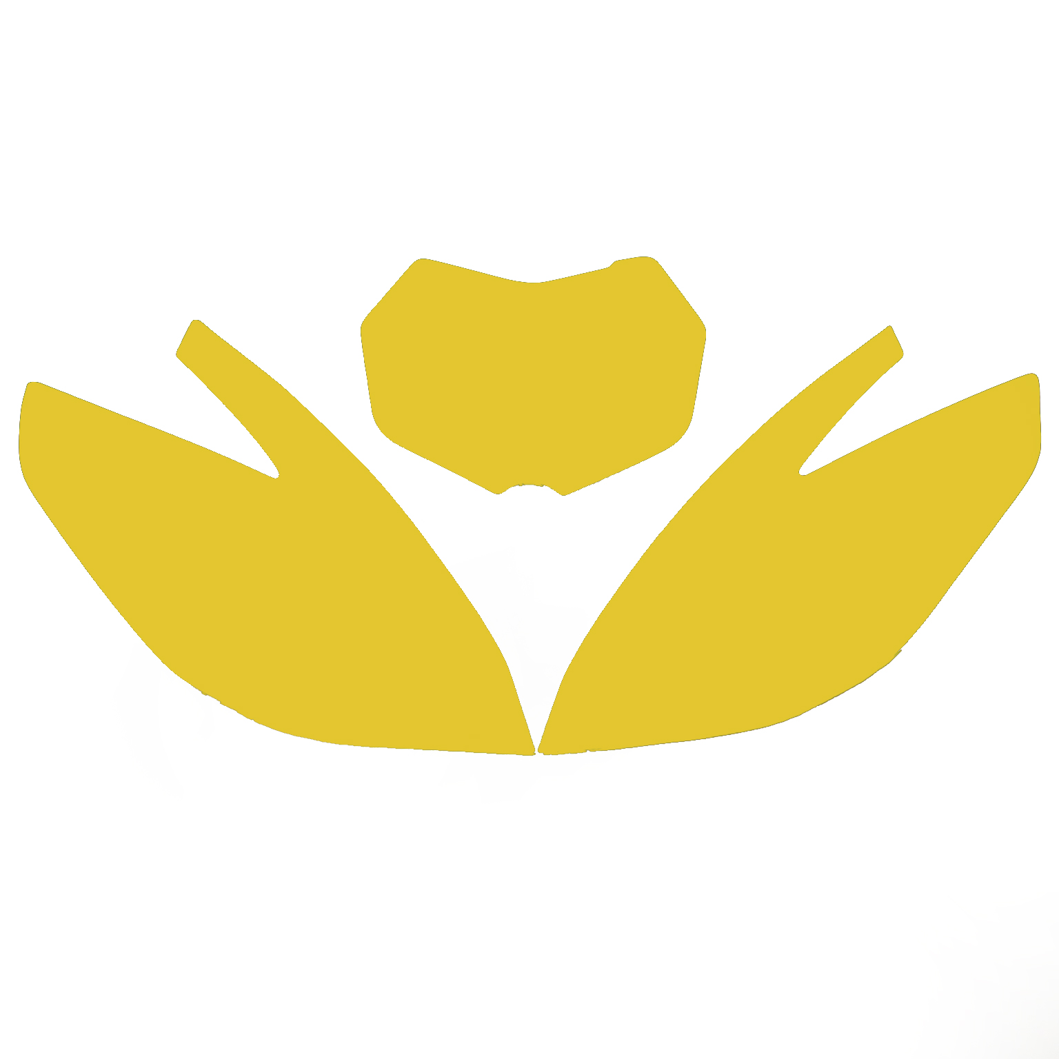 2020-2021 TM EN 2-ST BACKGROUNDS, YELLOW BLACKBIRD 3817/40 image 1