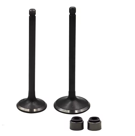 VALVE SET EXHAUST & INTAKE YAMAHA XT250 YFB250 YFM250 RAPTOR 5XT-12121-00-00 5H0-12111-02-00