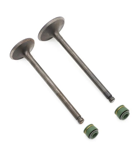 VALVE SET INTAKE EXHAUST & VALVE SEALS SUZUKI GN GZ GS DR125 12911-04B00 12912-24400 image 1