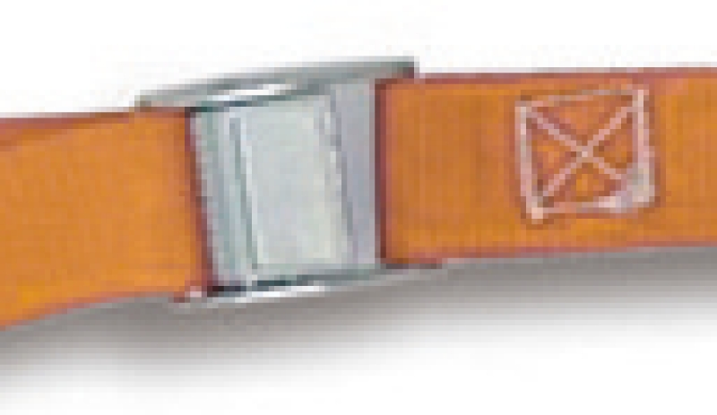 Cam Buckle Straps 200kg High-Grade Polypropylene 1.5m - Robur 8188F 1,5 thumbnail 2
