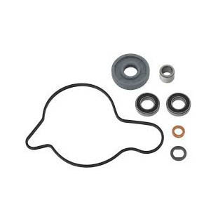 WATER PUMP REPAIR KIT BETA 4T image 1