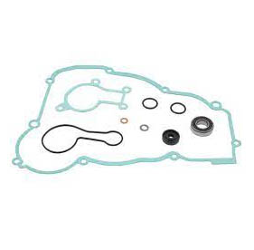 WATER PUMP REPAIR KIT BETA 2T 250 300 13-23 image 1