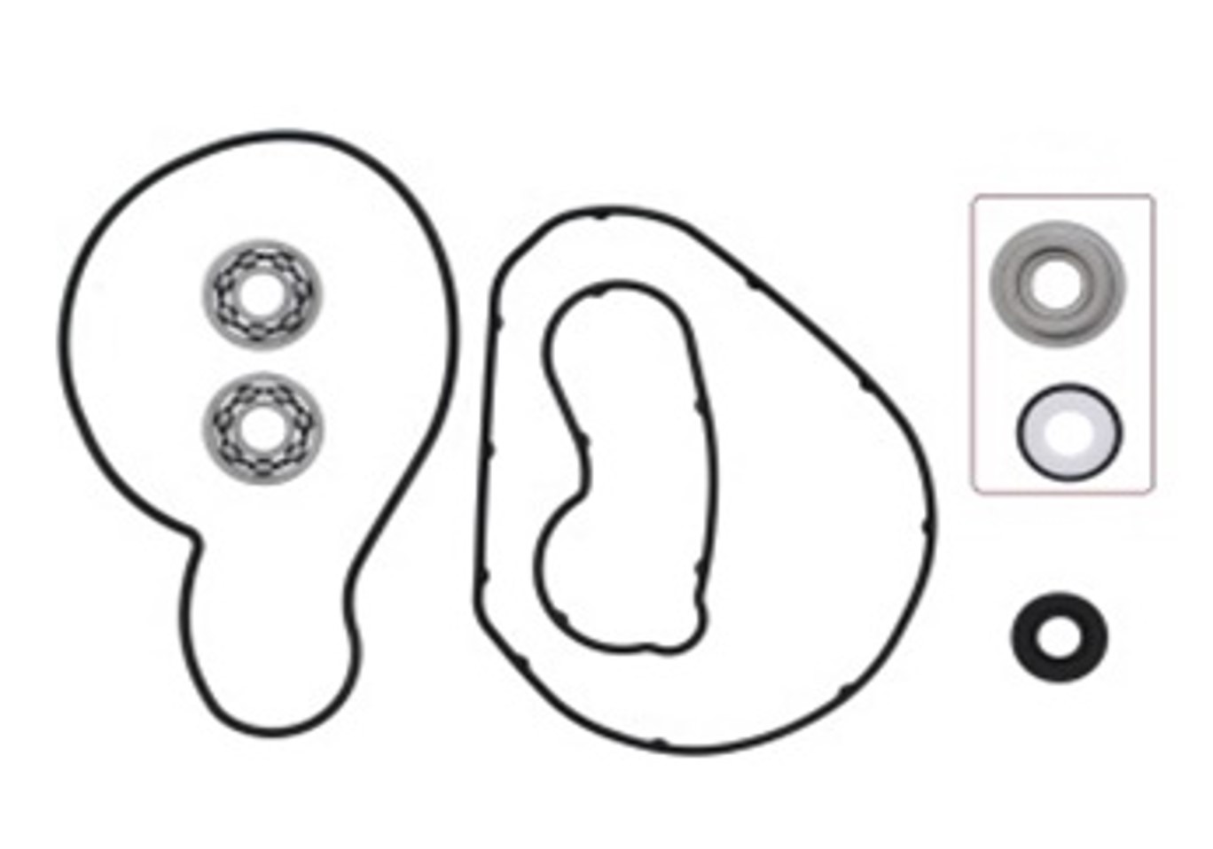 WATER PUMP REPAIR KIT WITH BEARINGS 721317 image 1