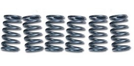 CLUTCH SPRING SET/6 EBC CSK080 image 1