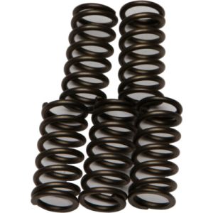 CLUTCH SPRINGS SET/5 EBC CSK176