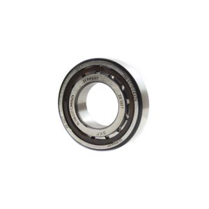 BEARING NJ206 SKF 30x62x16, PROX 23.NJ206ECP-2, GROOVED, ROLLER BEARING, 773.30.082.000