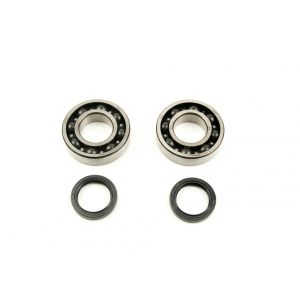 CRANKSHAFT BEARING & SEAL KIT, PROX 23.CBS43051 KX 250/X 2021-2025