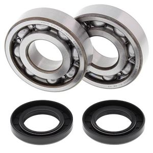 CRANKSHAFT BEARING & SEAL KIT, ALLBALLS 24-1011 KX500 83-04