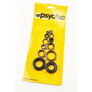 OIL SEAL SET 88-02 KX250 12pcs, PSYCHIC MX-09202