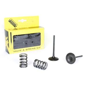 KIT IN VALVE+SPRING RM-Z450, PROX 28.SIS3405-2 INTAKE