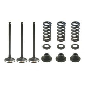 VALVE KIT INTAKE YZF250 GASGAS, PSYCHIC XU-09519IK