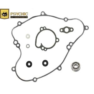 WATER PUMP KIT KX65 02-19, PSYCHIC MX-10239, WITH BEARING