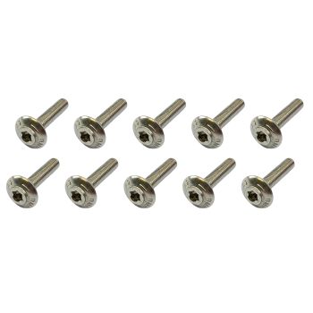 BMW STAINLESS STEEL SHELL SCREWS BOLTS M5X25 PACK OF 10 46638534939