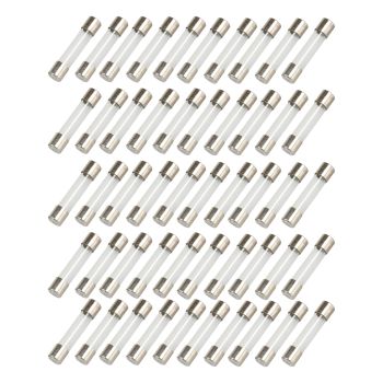 10AMP FUSE 30mm LONG / Pack of 50