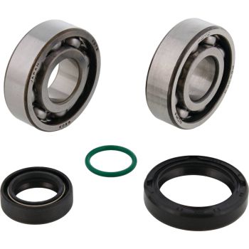 CRANKSHAFT BEARING & SEAL KIT GASGAS, ALLBALLS 24-1131