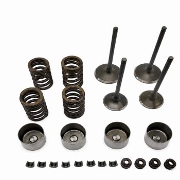 CYLINDER HEAD VALVE SEAL SPRING KIT 03-14 SUZUKI LTZ400 QUADSPORT 00-21 SUZUKI DRZ400 E S SM 12911-29F00