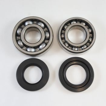 MAIN BEARING AND SEAL KIT 79-84 SUZUKI RM PE RS 100 125 175 VINTCO KMB016