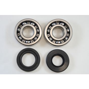 MAIN BEARING AND SEAL KIT 79-81 SUZUKI PE RM RS 250 VINTCO KMB019
