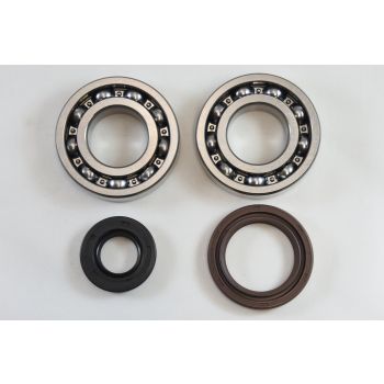 MAIN BEARING AND SEAL KIT 81-81 SUZUKI RM 250 VINTCO KMB020