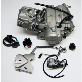 ZHONGSHEN 190CC PIT BIKE ENGINE, COMPLETE WITH ELECTRICS AND CARB, NO OIL COOLER OR LINES INCLUDED