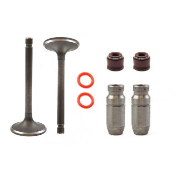Valve Intake & Exhaust Seals and Guides Yamaha TTR 125 E 2000 - 2016