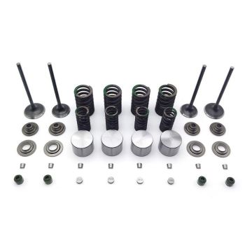 Valve Spring Assembly Kit KAWASAKI, KLX 250 300 D-TRACKER LONCIN VOGE