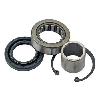 PRIMARY BEARING KIT HD HARLEY, ALLBALLS 25-3103, Harley Davidson