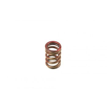 SPRING EX RMZ450 05-09