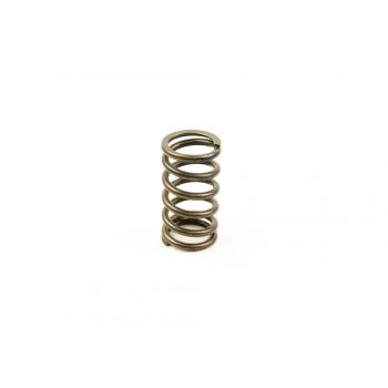 SPRING VALVE IN/EX YZF450 3-09