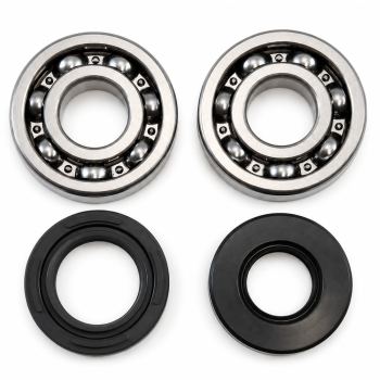 MAIN BEARING AND SEAL KIT 79-81 SUZUKI PE RM RS 250 VINTCO KMB019