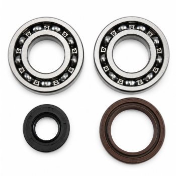 MAIN BEARING AND SEAL KIT 81-81 SUZUKI RM 250 VINTCO KMB020