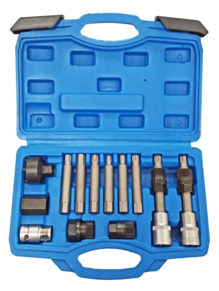 ALTERNATOR FREEWHEEL PULLEY REMOVAL SET 13pc WITH BIT SOCKETS - TOOLZONE KDPAU011 thumbnail 2