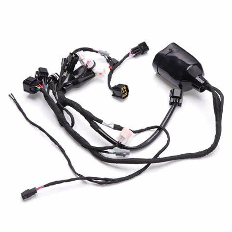 WIRING HARNESS MAIN L1E ROAD LEGAL SURRON LIGHT BEE X S SEGWAY X160 X260 image 1